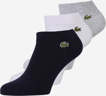 Chaussettes LACOSTE en gris : devant