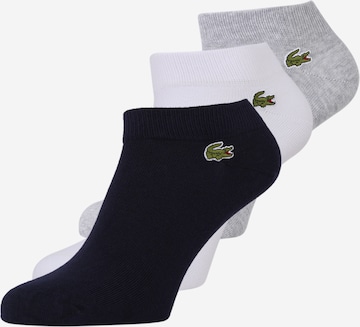 Chaussettes de sport Lacoste Sport en gris : devant