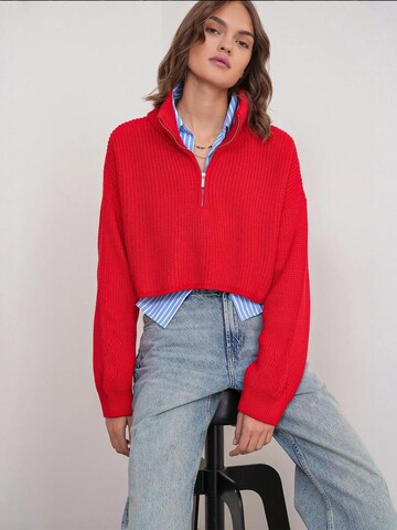 Pullover di MixRay in rosso