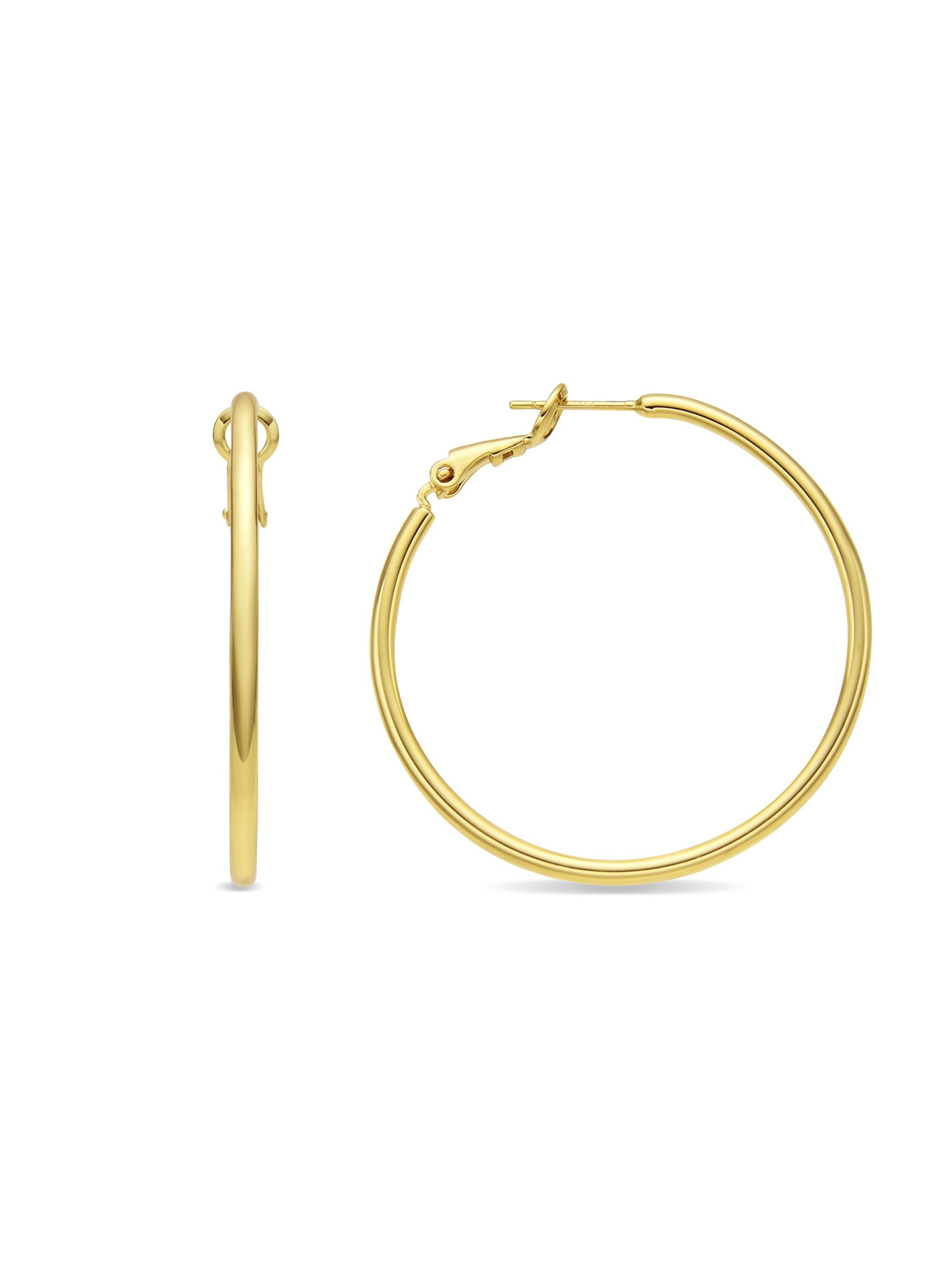 Luxenter Oorbellen 'Dierax' in Goud: voorkant