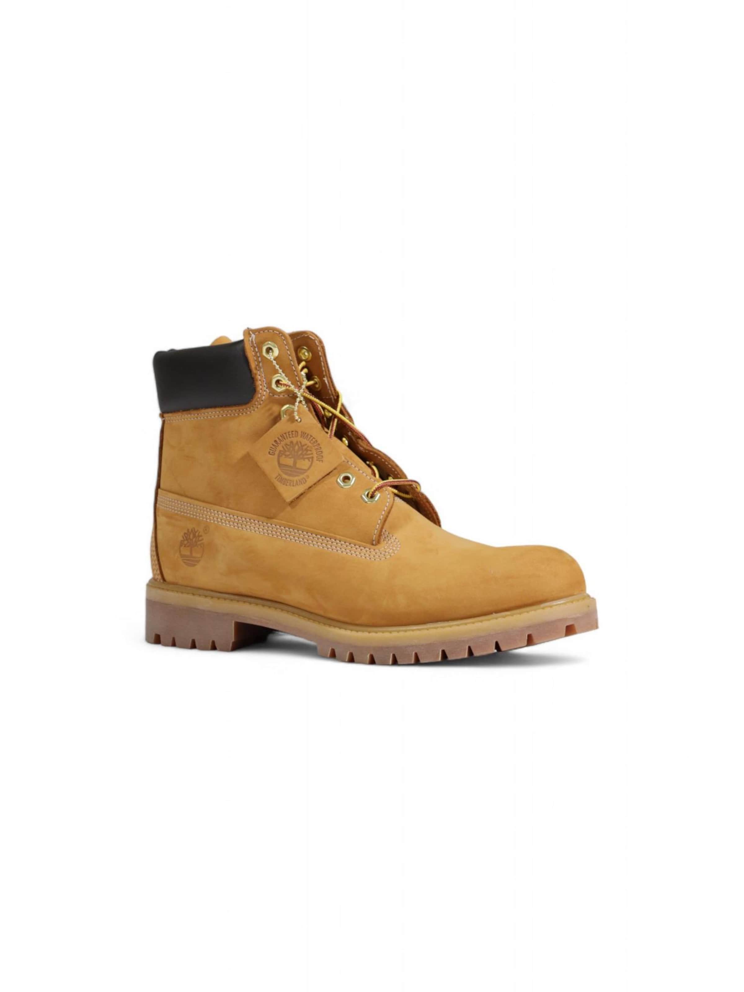 TIMBERLAND Veterlaarzen 'PREM 6 IN LACE WATERPROOF TB110061713' in Bruin