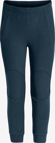 VAUDE Tapered Functionele broek 'Pulex' in Blauw: voorkant