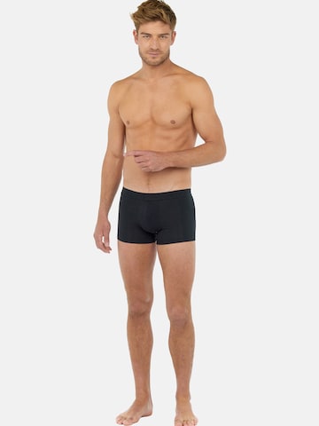 HOM Boxershorts ' Boxer Tonal Pack No2 ' in Blauw