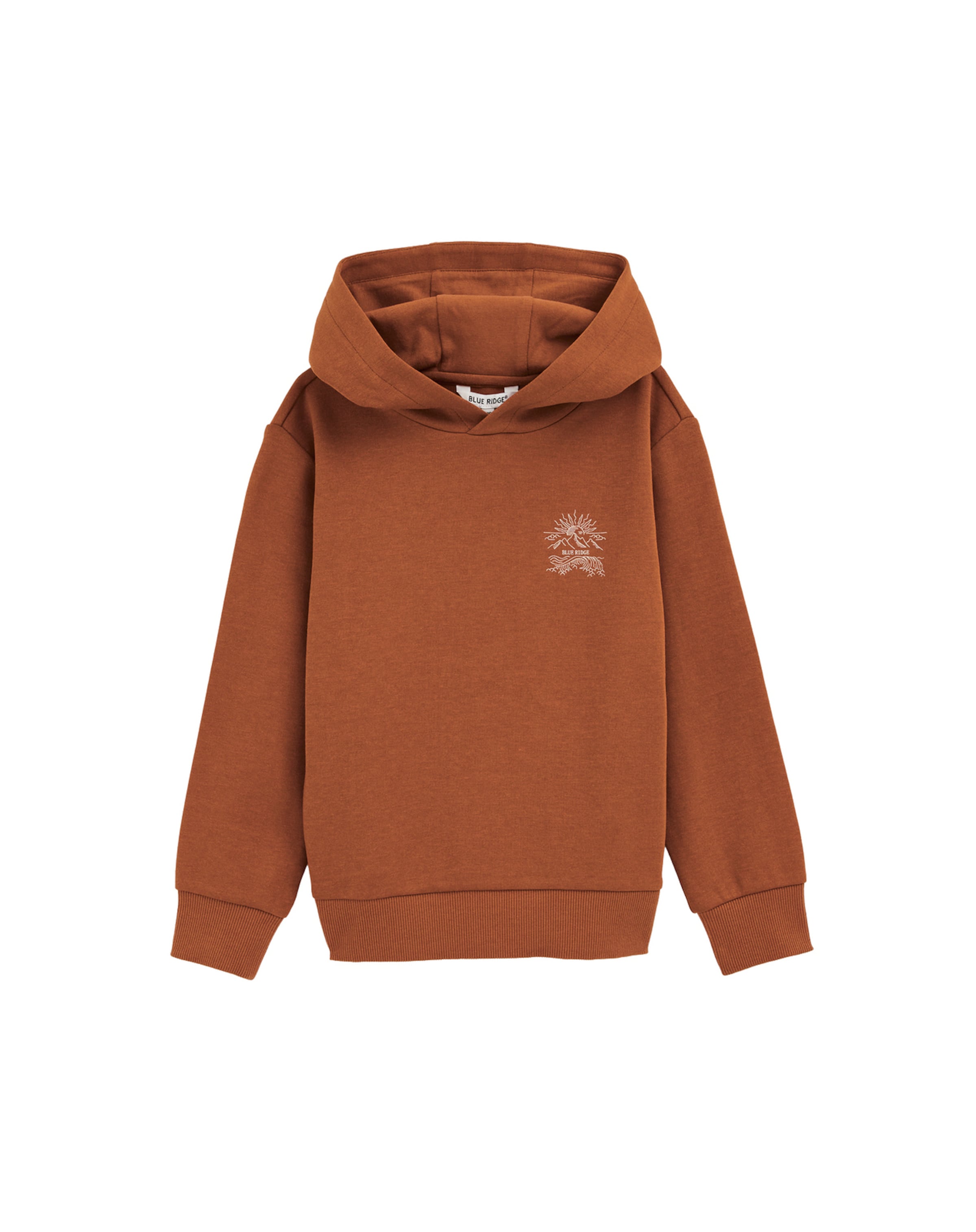 Felpa di WE Fashion in marrone: frontale