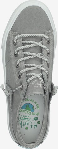 Blowfish Malibu Sneakers in Grey