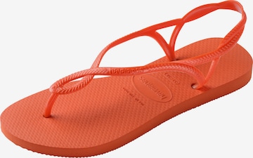 HAVAIANAS Ujjelválasztó-pántos szandál 'Luna' - narancs: elől
