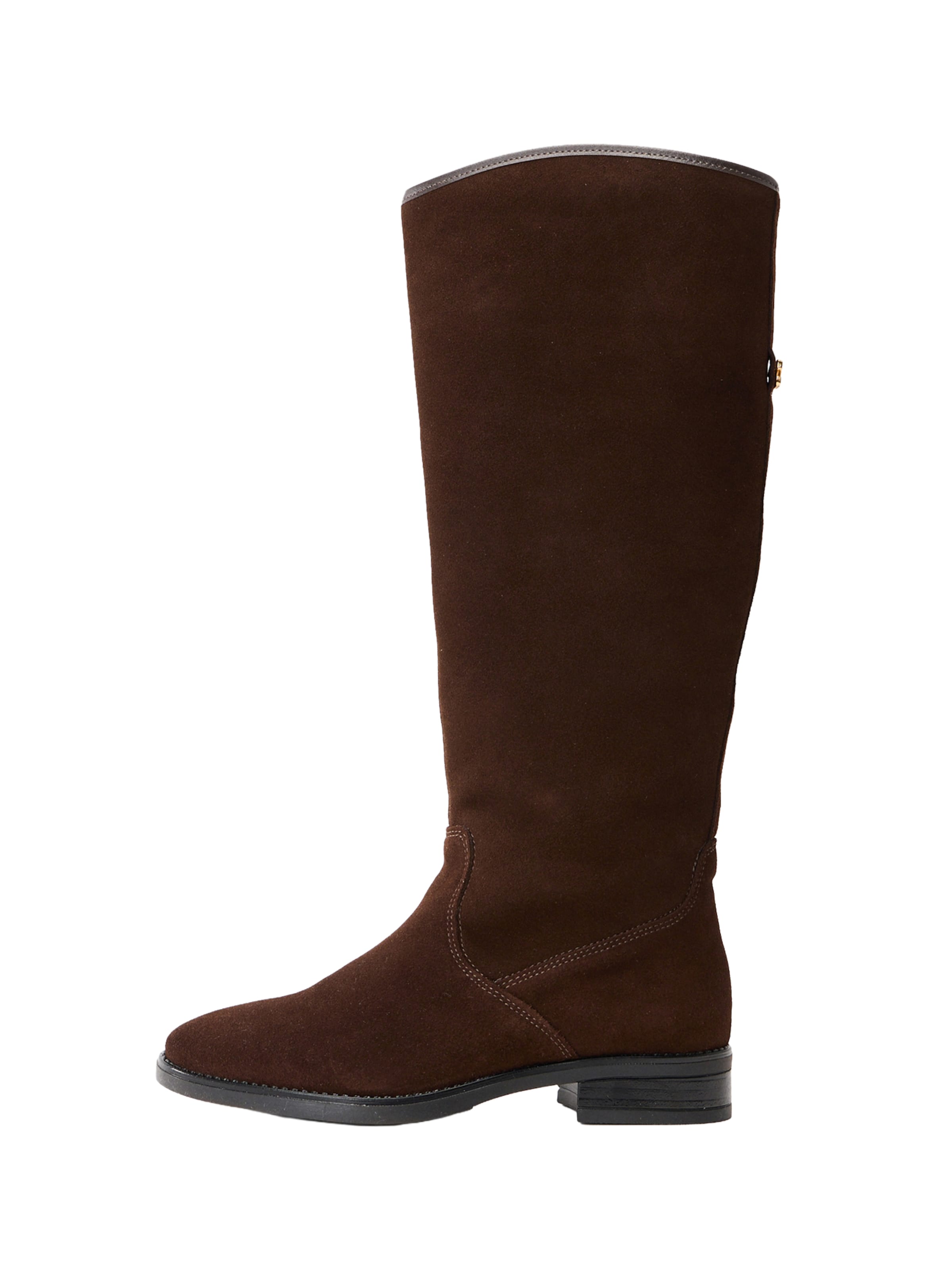 STEVE MADDEN Сапоги 'Vlora' в Коричневый: спереди