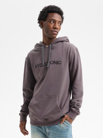 hydroponic - Sudadera 'Hydroponic Regular-Fit Brand Embroidered Hoodie' en gris: frente