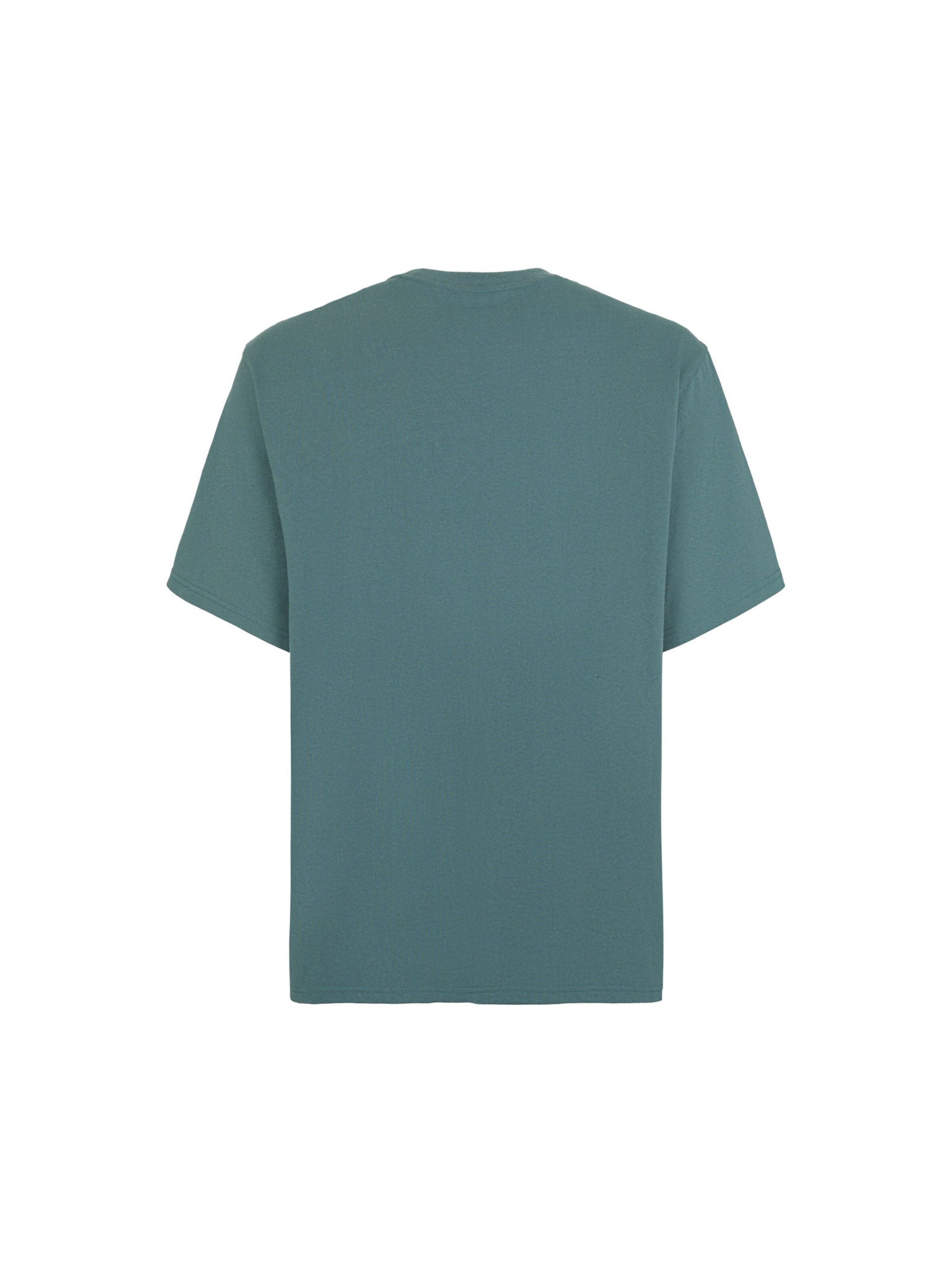 Tricou 'CLANCY ' de la DICKIES pe verde