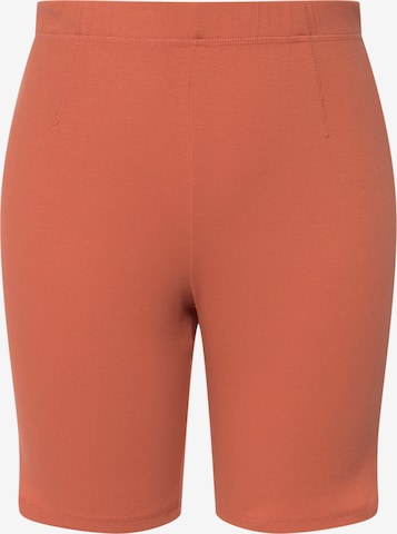 Ulla Popken Leggings in Oranje: voorkant