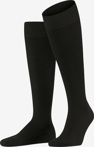 FALKE Knee High Socks 'Energizing Wool' in Brown: front