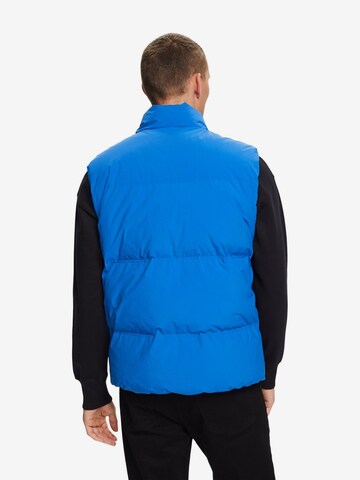 ESPRIT Bodywarmer in Blauw