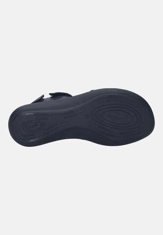 JOSEF SEIBEL Sandal 'Ibiza 86' in Black