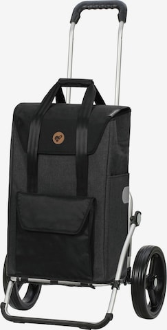 Trolley 'Senta' di Andersen Shopper in grigio: frontale