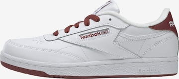 Reebok Classics Trainers 'Club C' in White: front