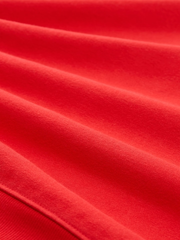 TOM TAILOR DENIM Sweatshirt in Red