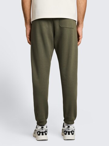 TOM TAILOR DENIM Regular Hose in Grün