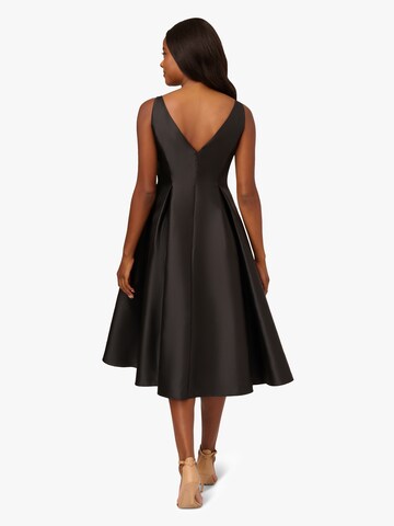 Adrianna Papell Kleid in Schwarz