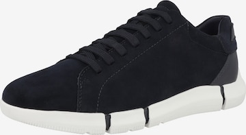 GEOX Sneaker 'Adacter' in Blau: predná strana