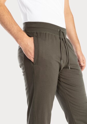 Tapered Pantaloni di s.Oliver in verde