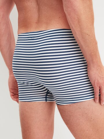 CALIDA Boxer shorts 'Grafic Cotton' in Grey