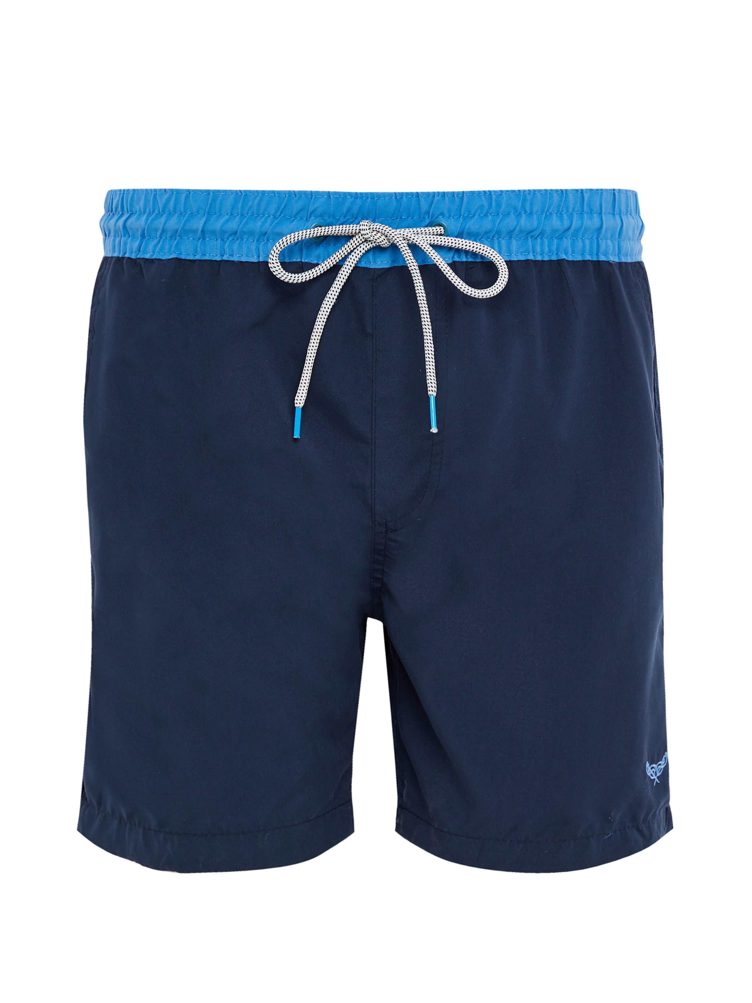 Threadbare Board Shorts 'Penglai' in Blue: front