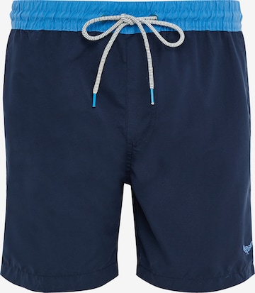 Threadbare Board Shorts 'Penglai' in Blue: front