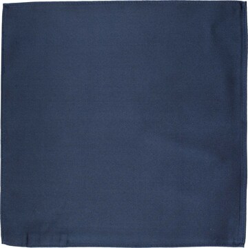 ROY ROBSON Doek in Blauw: voorkant