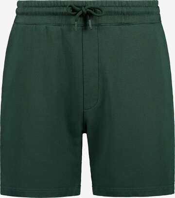 Shiwi Pants 'Steve' in Green: front