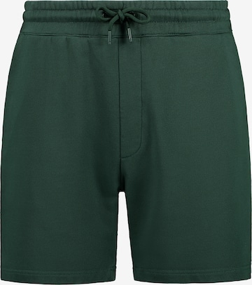 Pantaloni 'Steve' di Shiwi in verde: frontale