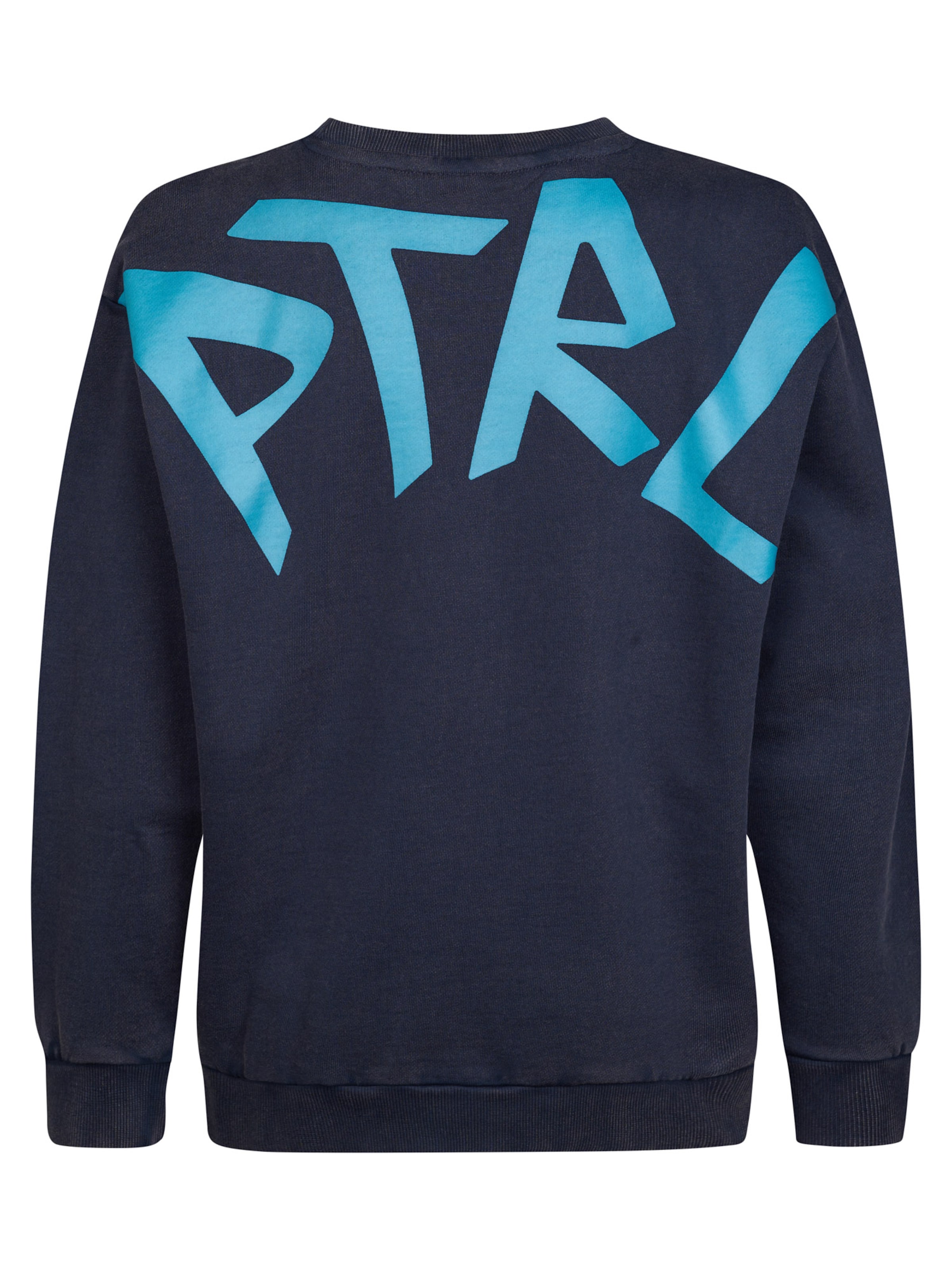 Petrol Industries Sweatshirt in Blau