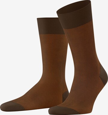 FALKE Socken 'Fine Shadow' in Braun: Vorderseite