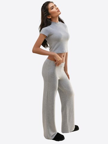 Wide Leg Pantalon Hiccup en gris