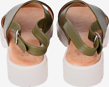 Apple of Eden Sandals ' SLOAN ' in Green