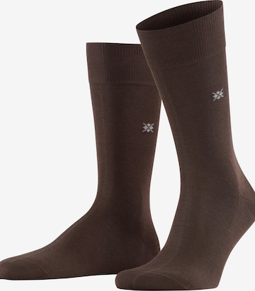 BURLINGTON Socken 'Dublin' in Braun: Vorderseite