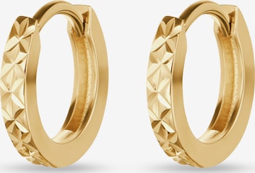 FAVS Ohrringe in Gold: Vorderseite