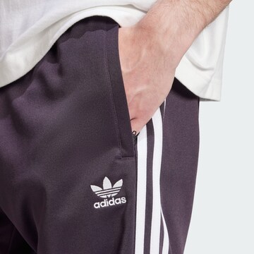 ADIDAS ORIGINALS Tapered Hose in Lila