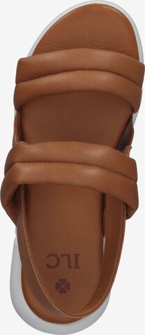 ILC Sandals in Brown