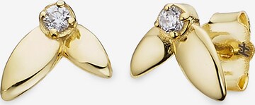 HECHTER PARIS Earrings in Gold: front