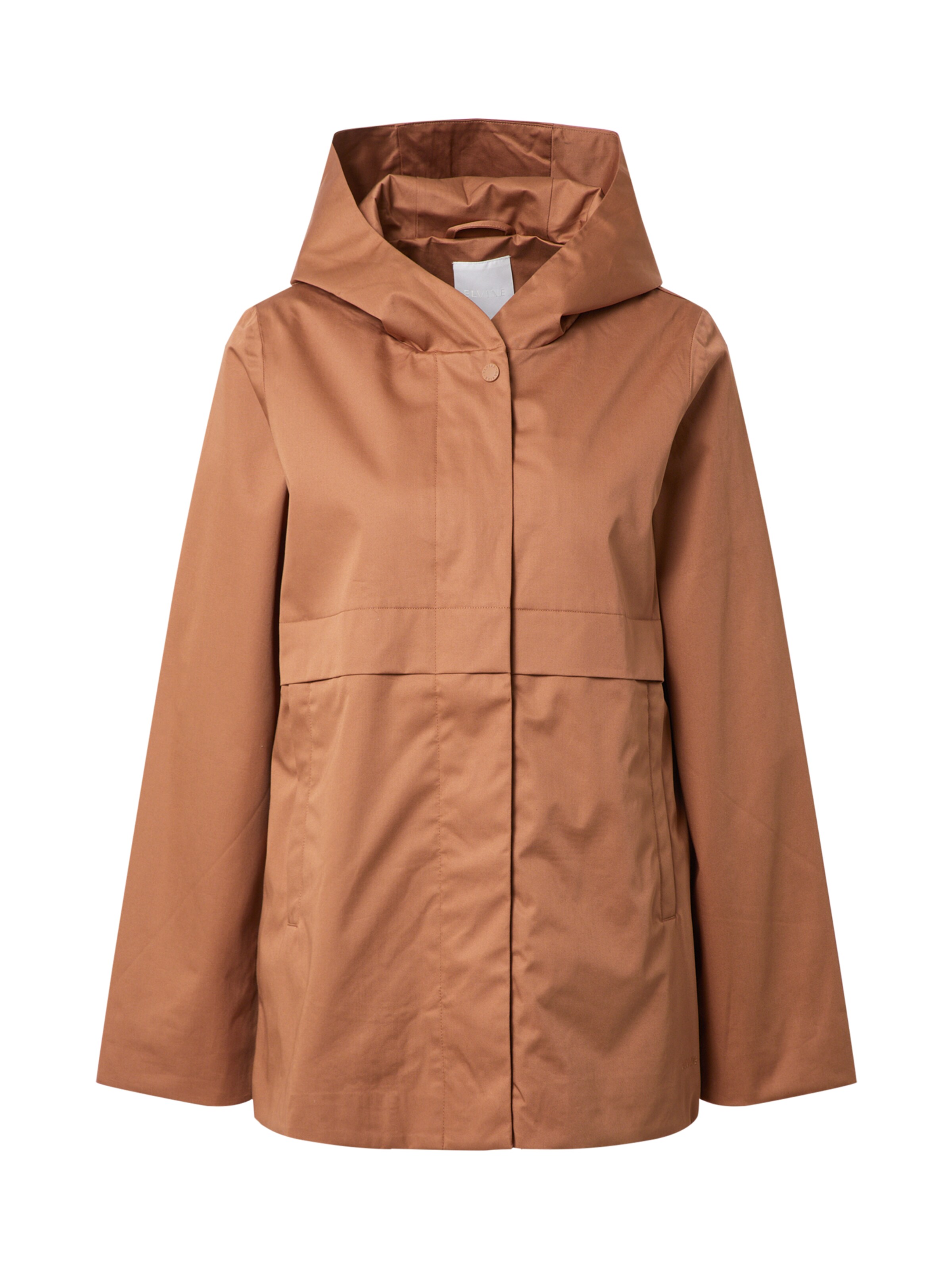 elvine Kevad-sügisjope 'Nikita' pruun, Tootevaade