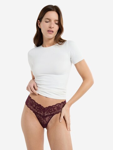 ETAM Panty 'Sweet' in Purple