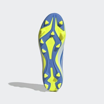 ADIDAS PERFORMANCE Soccer Cleats in Blue