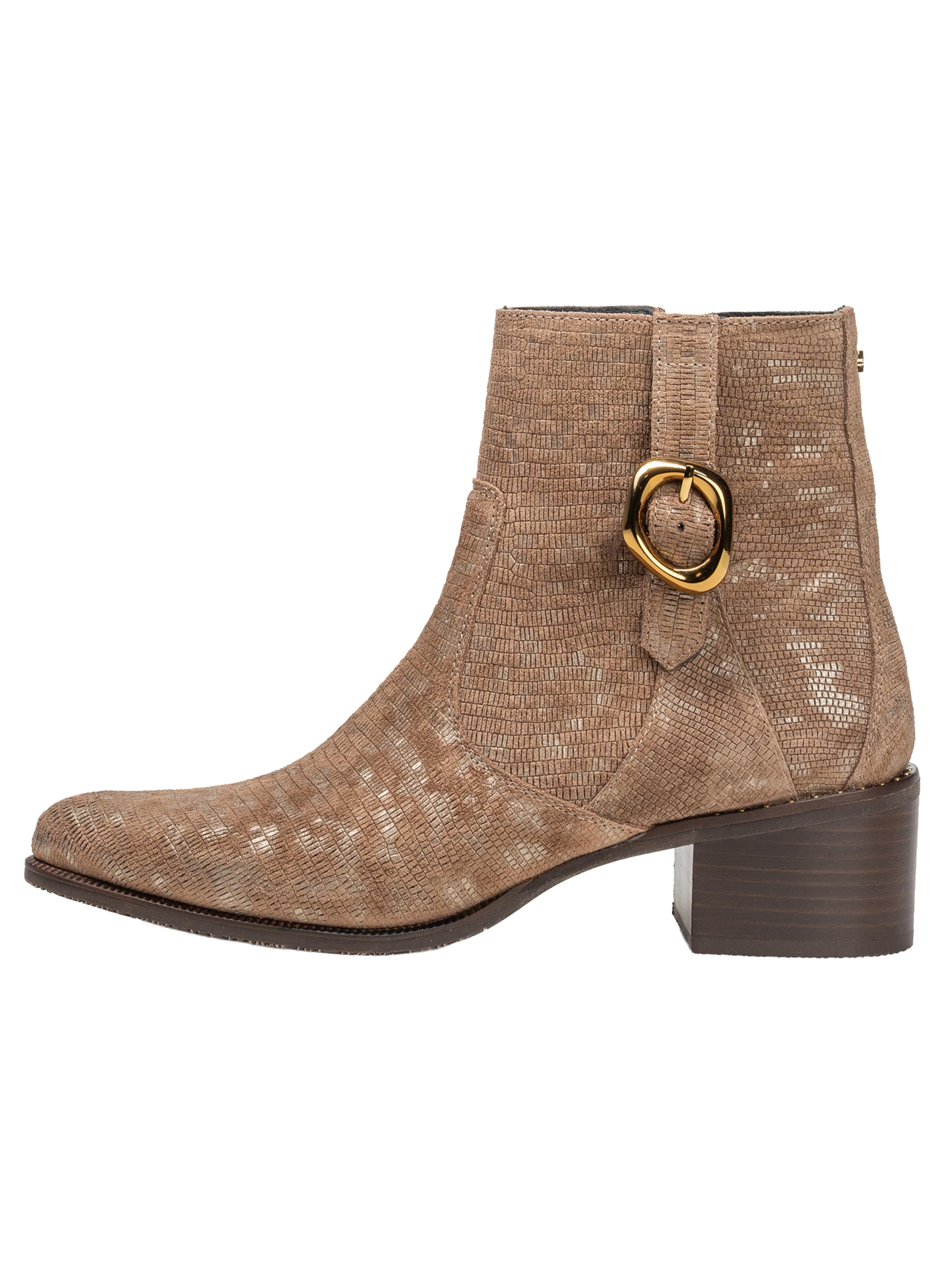 Ankle boots 'Evi 05' di Floris van Bommel in grigio: frontale