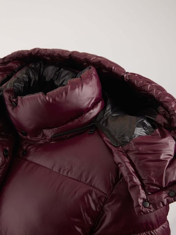 Veste d’hiver 'Colonia' JACK1T en violet