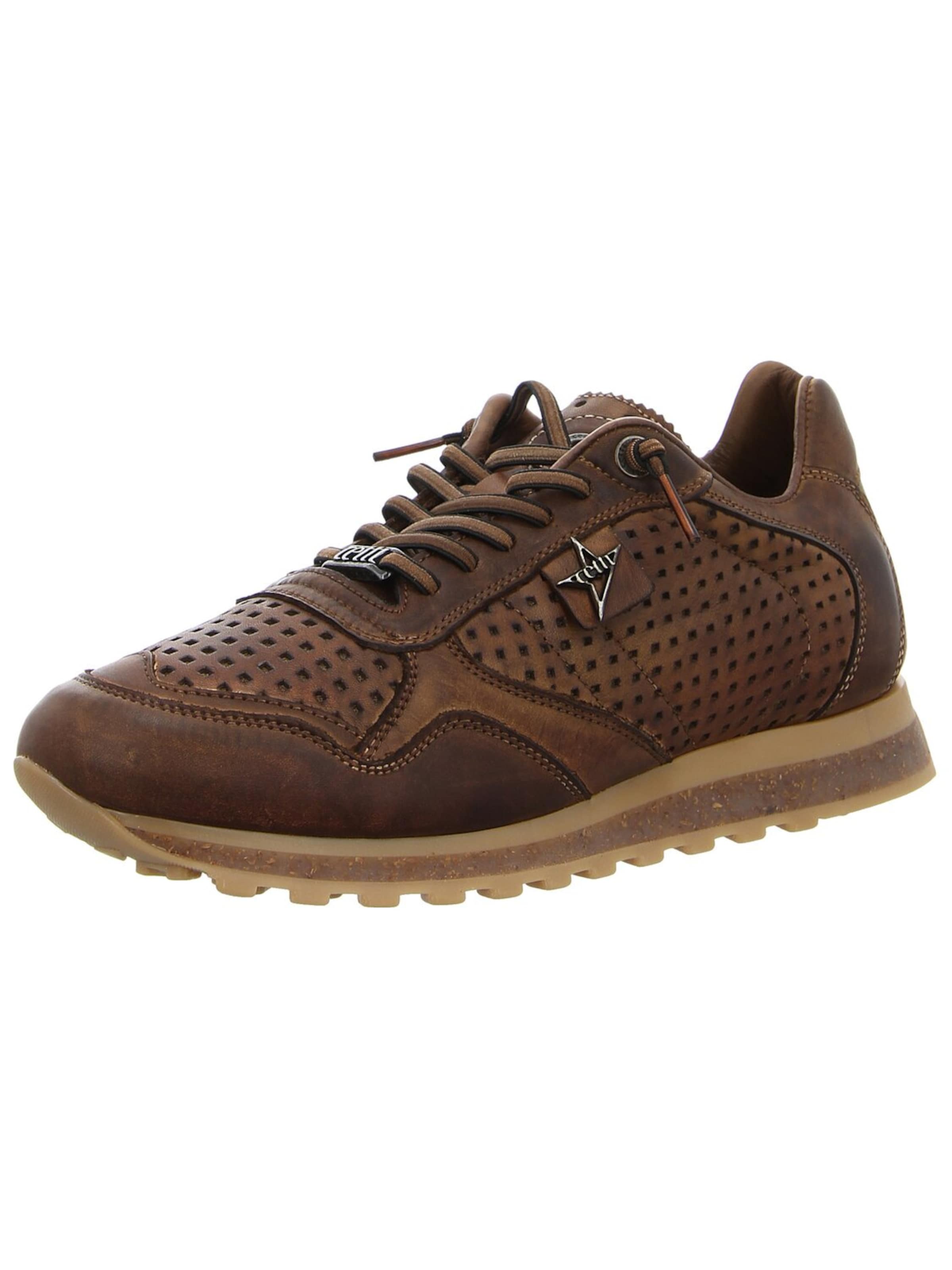 Cetti Athletic Lace-Up Shoes 'Herren Sneaker C848 USED TIN TESTA Echt Leder in braun' in Brown: front