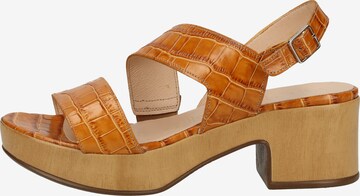 Wonders Strap Sandals in Brown