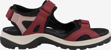 ECCO Wandelsandalen 'Offroad' in Rood