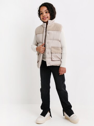 Threadgirls Bodywarmer 'Apple' in Beige: voorkant