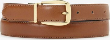 Kazar Belt in Brown: front