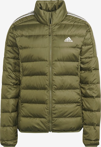 ADIDAS SPORTSWEAR Outdoorjas in Groen: voorkant